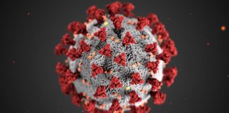 Google And Apple Building A Tool For Coronavirus Contact Tracing Into Android And IOS. Google and Apple coronavirus