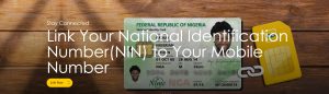 link your nin