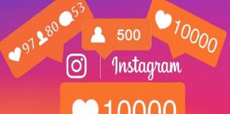 Do You Want to Expand Your Job Portal Services on Social Media?
