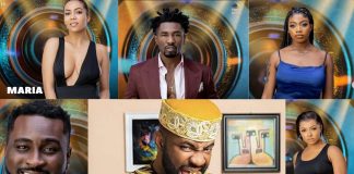 How To Watch Big Brother Naija (BBNaija) For Free Online & On Phone how to wacth big brother naija (BBNaija online