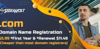 How to Launch a Website on a Mobile Device via the SeekaPanel in 5 Minutes for just $7? seekahost