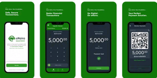 The eNaira App Review – The Nigerian Digital Currency App enaira app