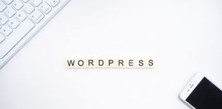 5 Fastest WordPress Themes in 2024 fastest wordpress theme