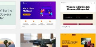 Top 5 Best Premium WordPress Themes for Your New Website in 2024 best premium WordPress themes