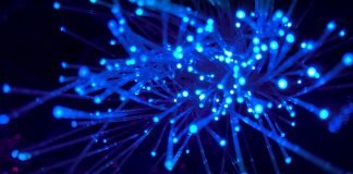 How can one house have two separate Internet Service Providers? – In The USA Internet Service Providers