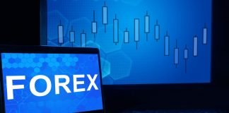 Beginners Guide On Forex Trading forex trading