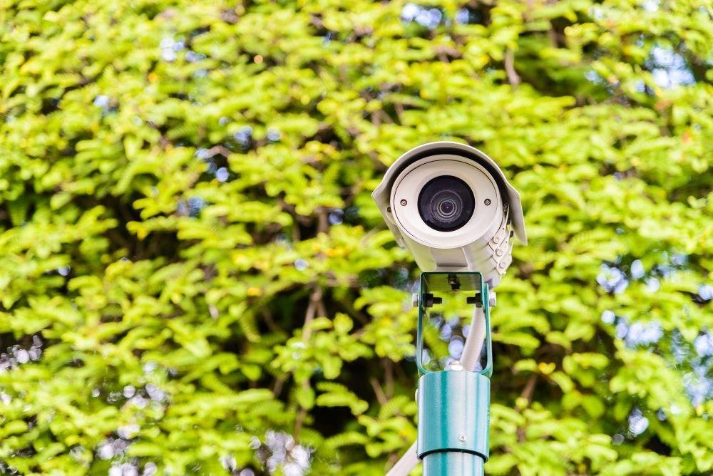 Camera In Border 
