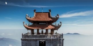 Exploring the Ties Between Financial Literacy and Travel