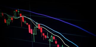 Comparing Bitcoin and Altcoins in the Crypto Arena
