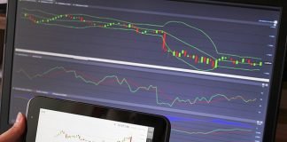 Cryptocurrency Trading 101: Basics Every Trader Should Know